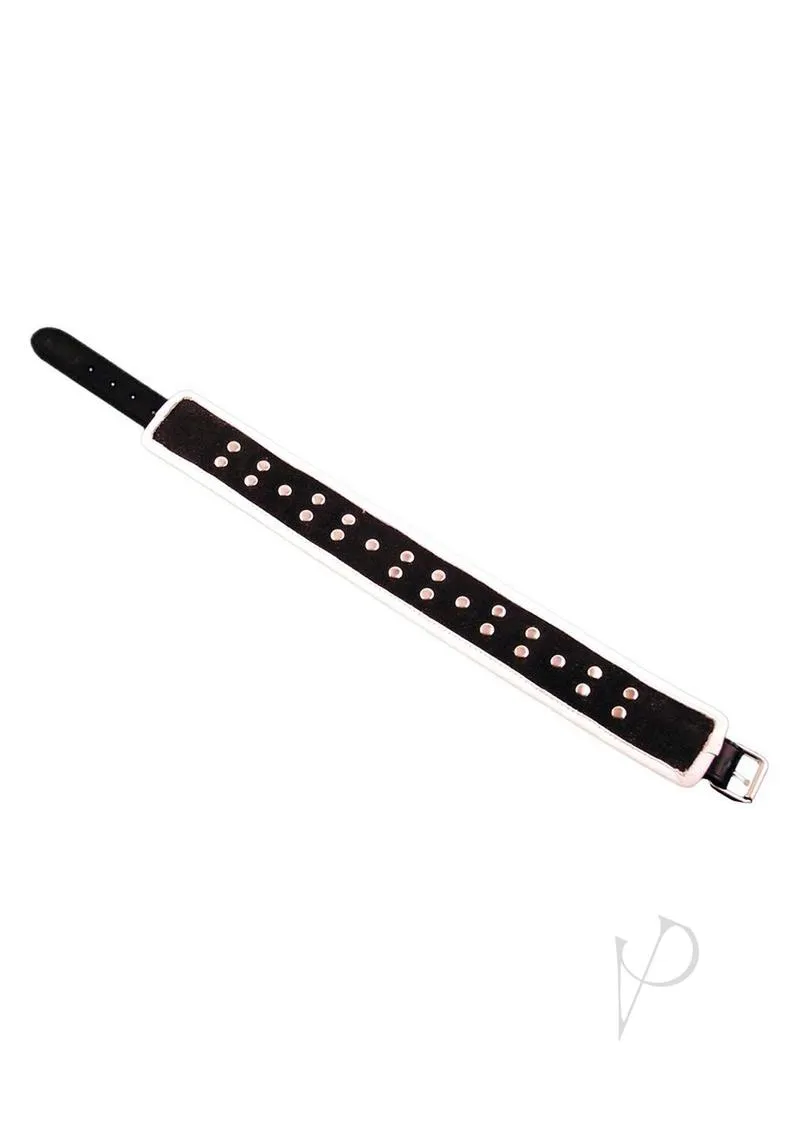 5 D Ring Collar Black/white