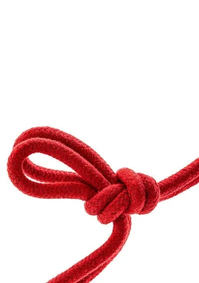 Blush Temptasia Bondage Rope 32 Feet