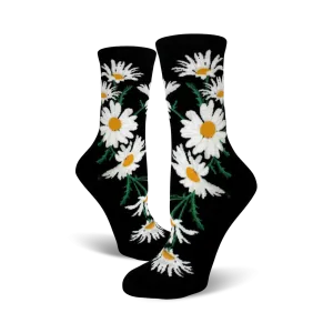 Crazy for Daisies