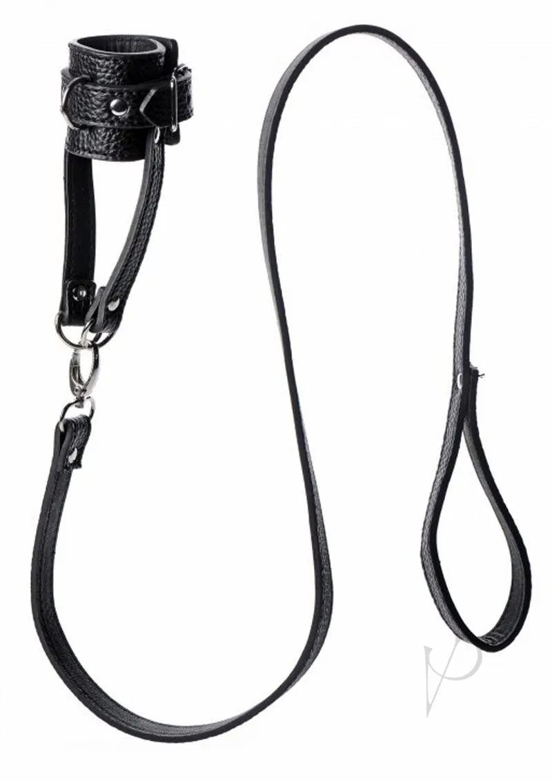 Mis Ball Stretcher Trainer Set W Leash